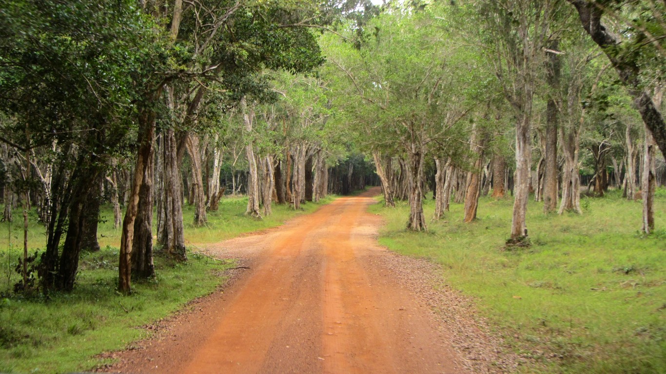 Wilpattu National Park